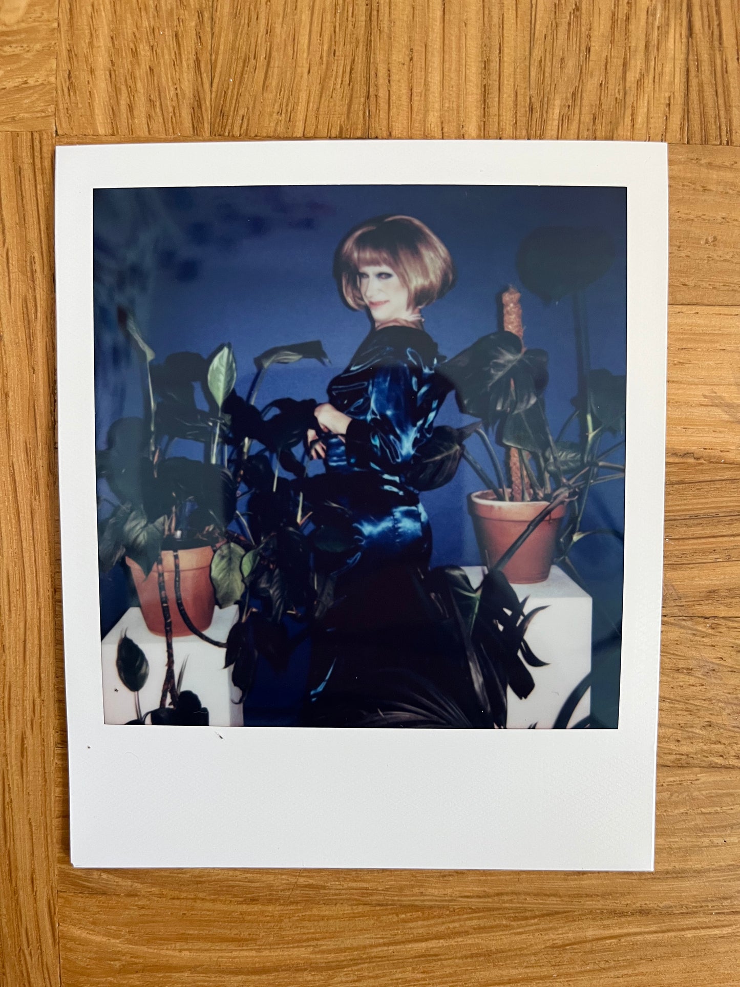 Metamorkid Merkel Polaroid Nr 7