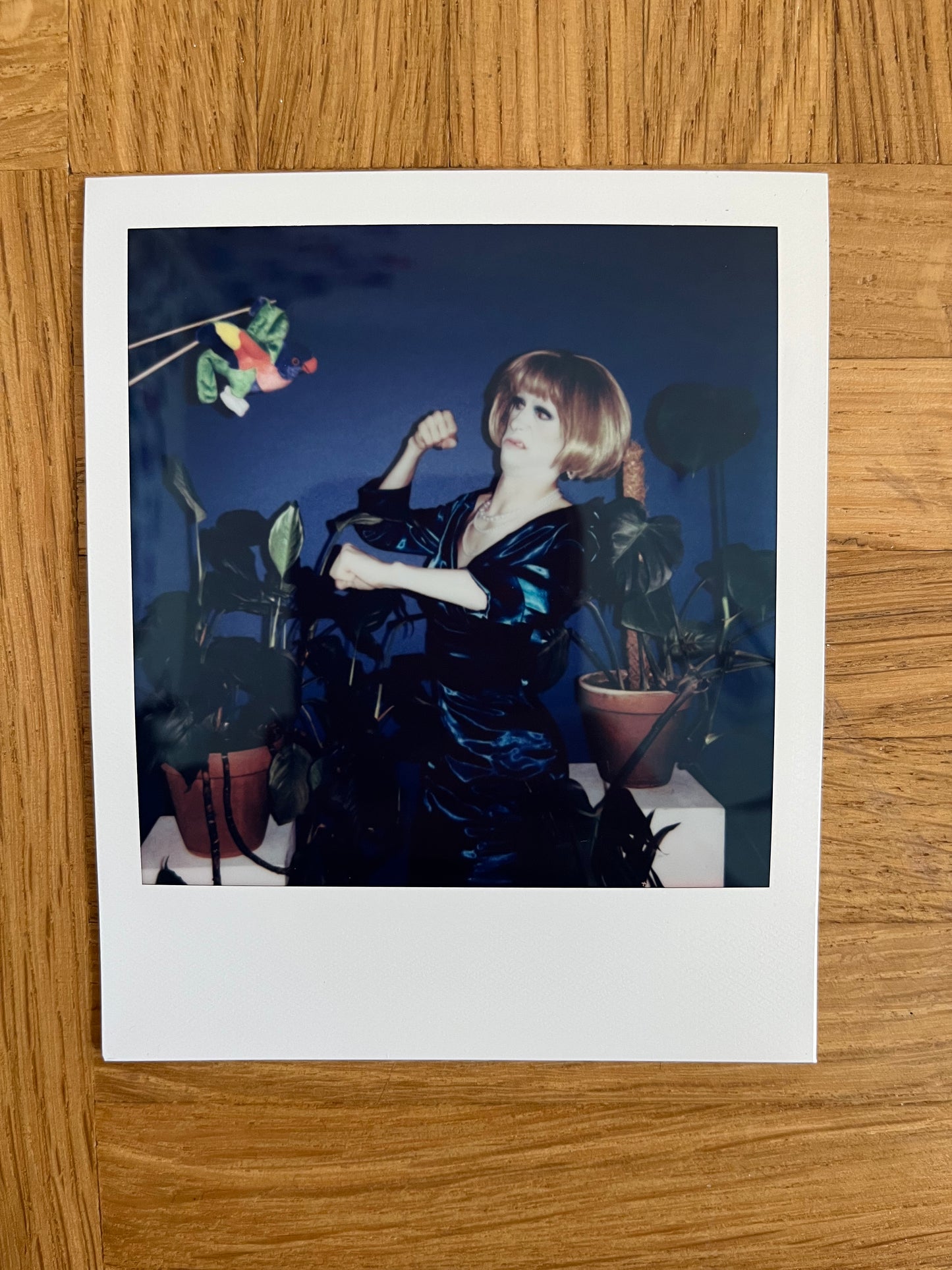 Metamorkid Merkel Polaroid Nr 8