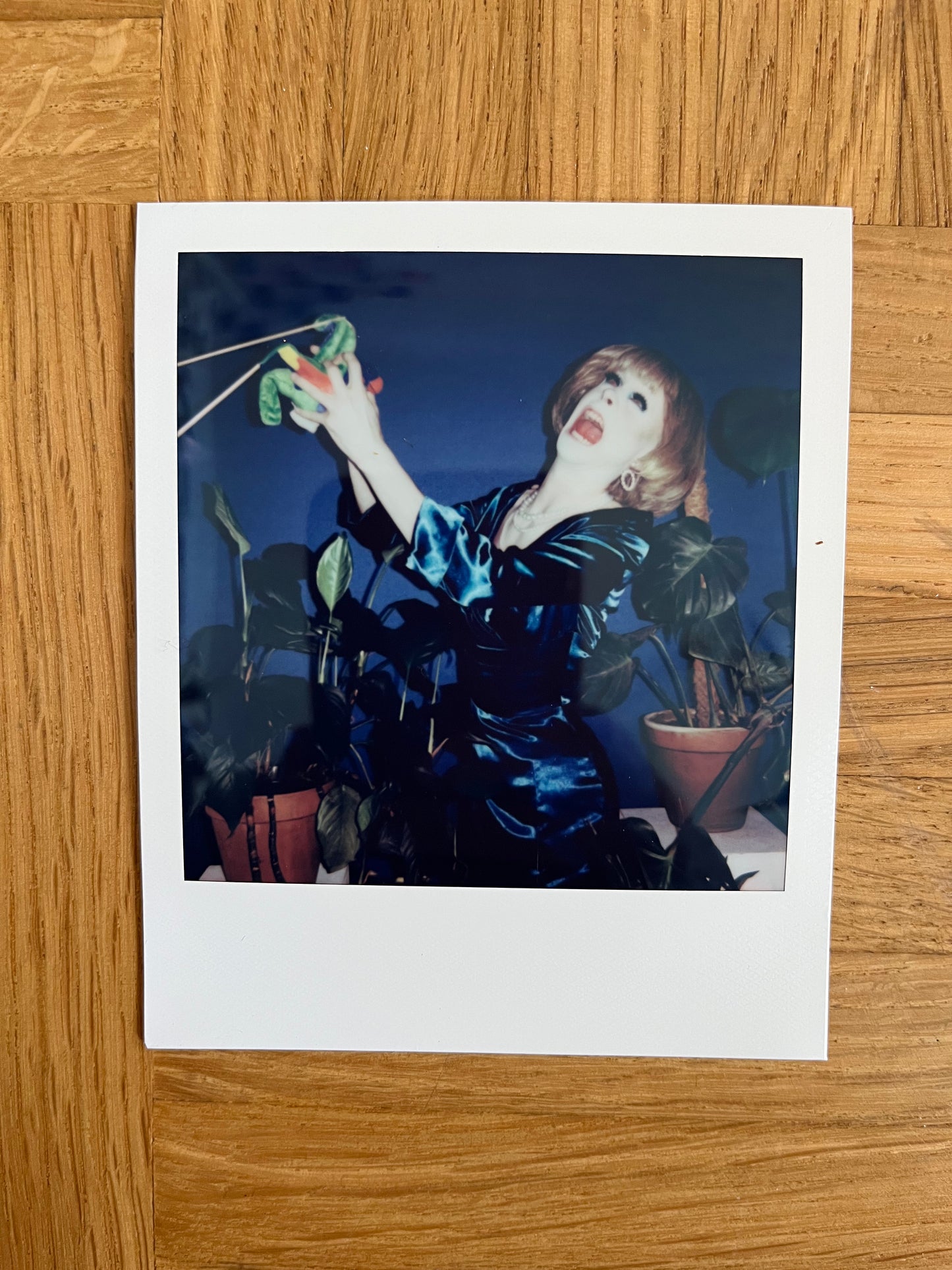 Metamorkid Merkel Polaroid Nr 10