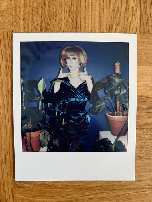 Metamorkid Merkel Polaroid Nr 6