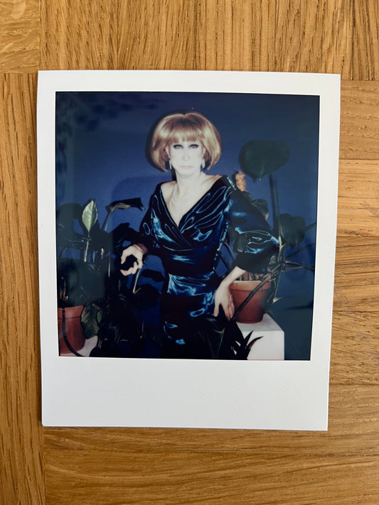 Metamorkid Merkel Polaroid Nr 13